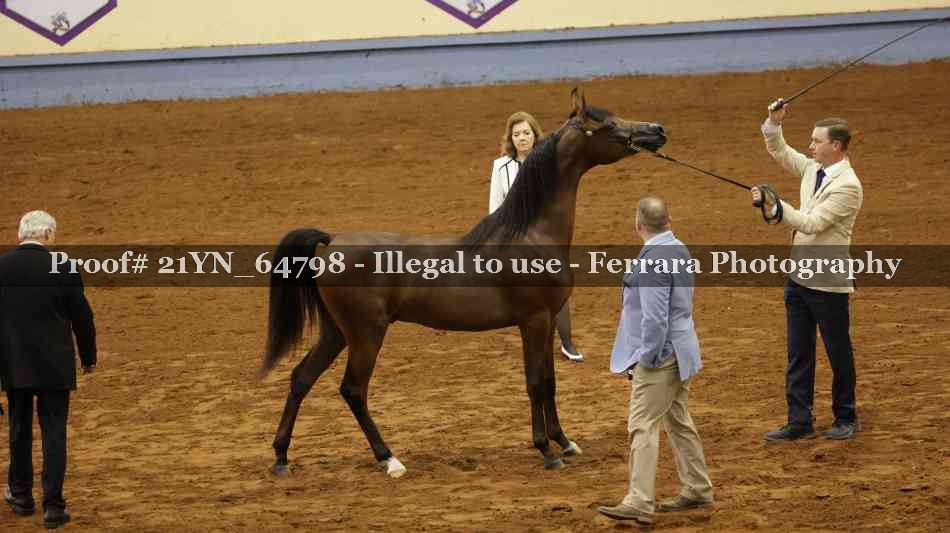 Proof 21YN_64798