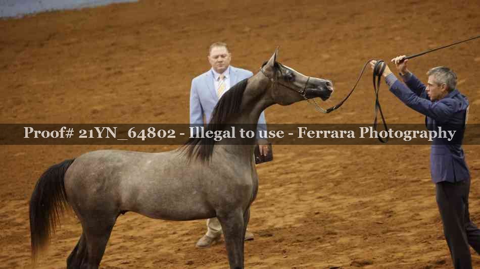 Proof 21YN_64802