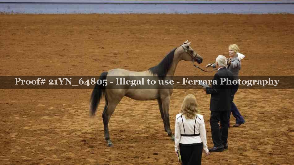 Proof 21YN_64805