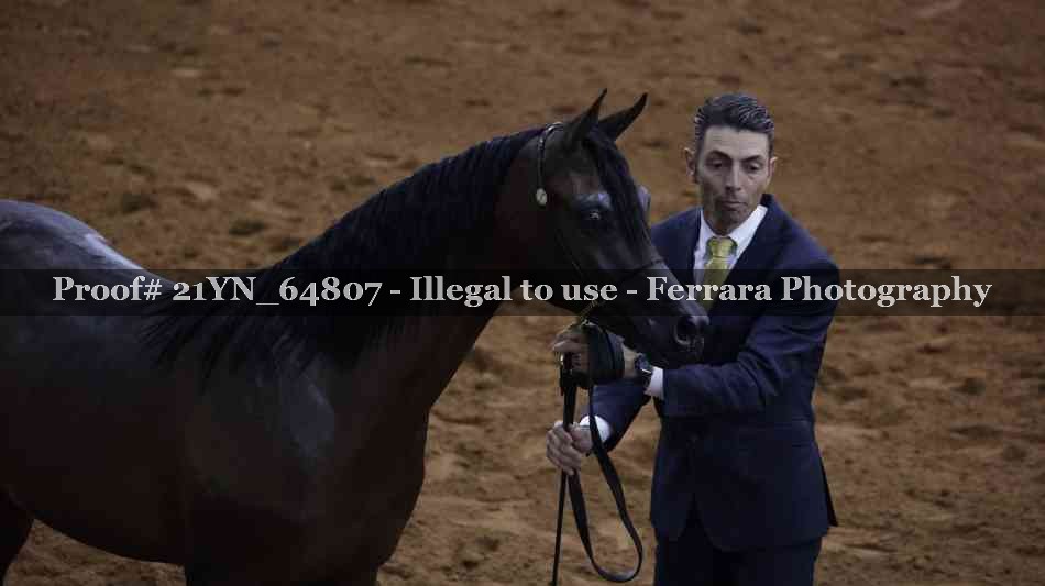 Proof 21YN_64807