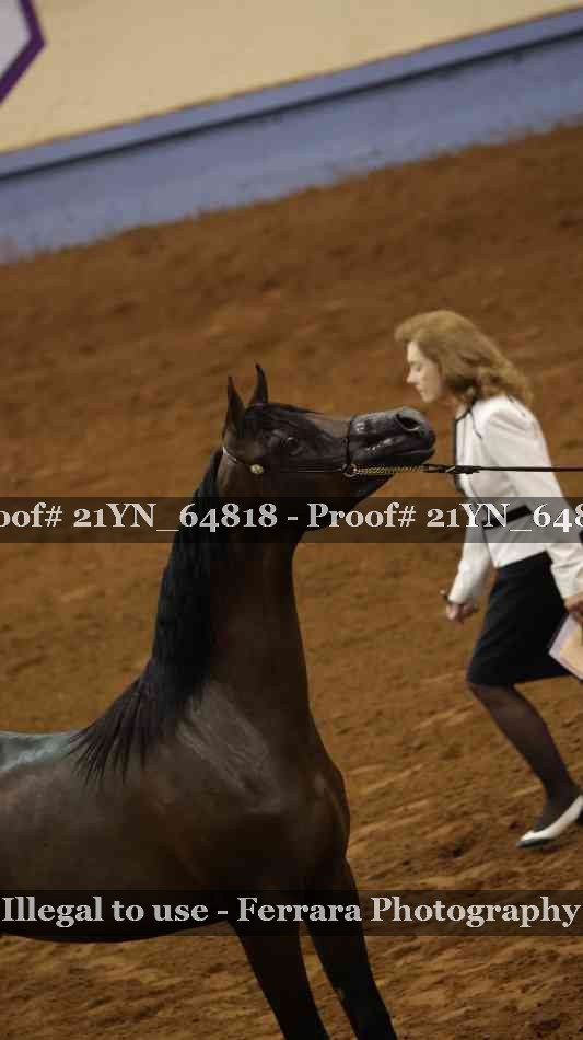 Proof 21YN_64818