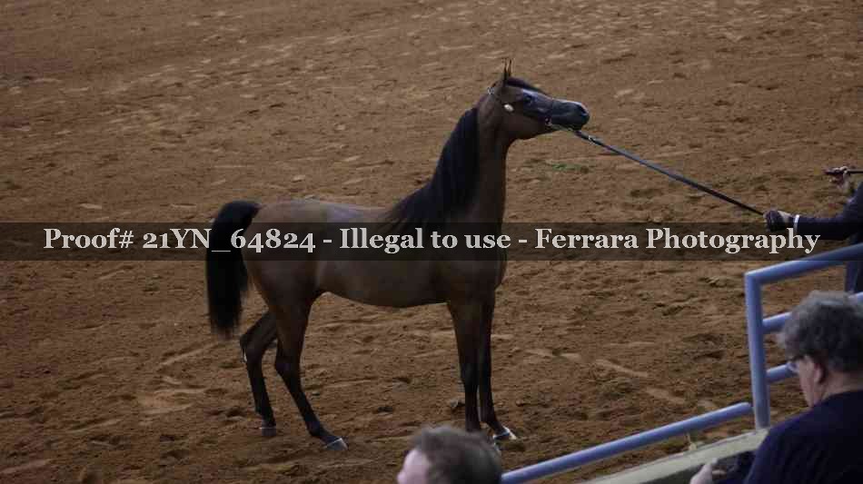 Proof 21YN_64824