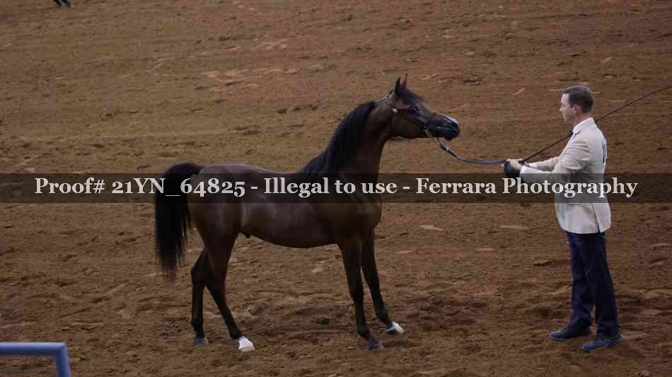 Proof 21YN_64825