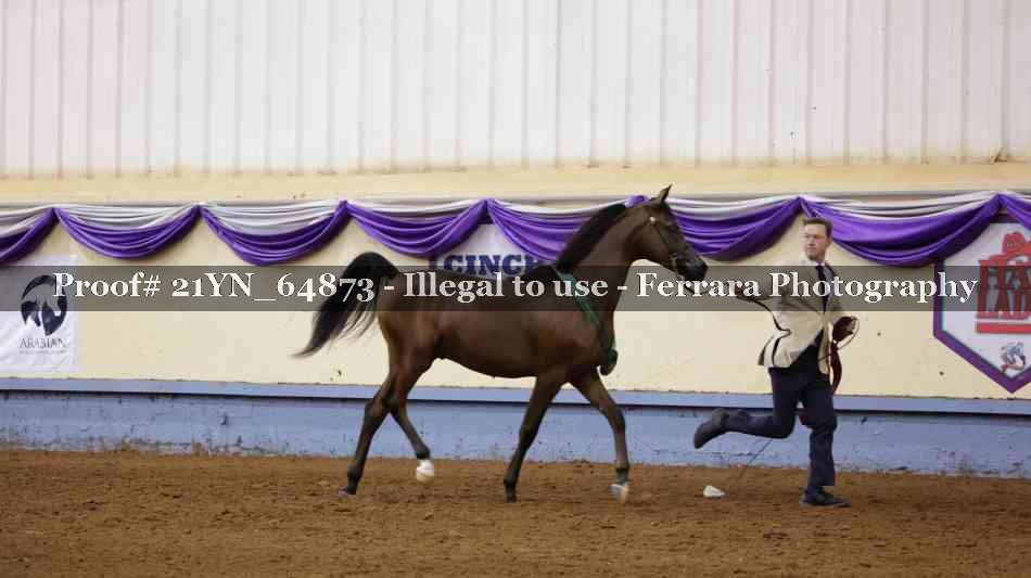 Proof 21YN_64873