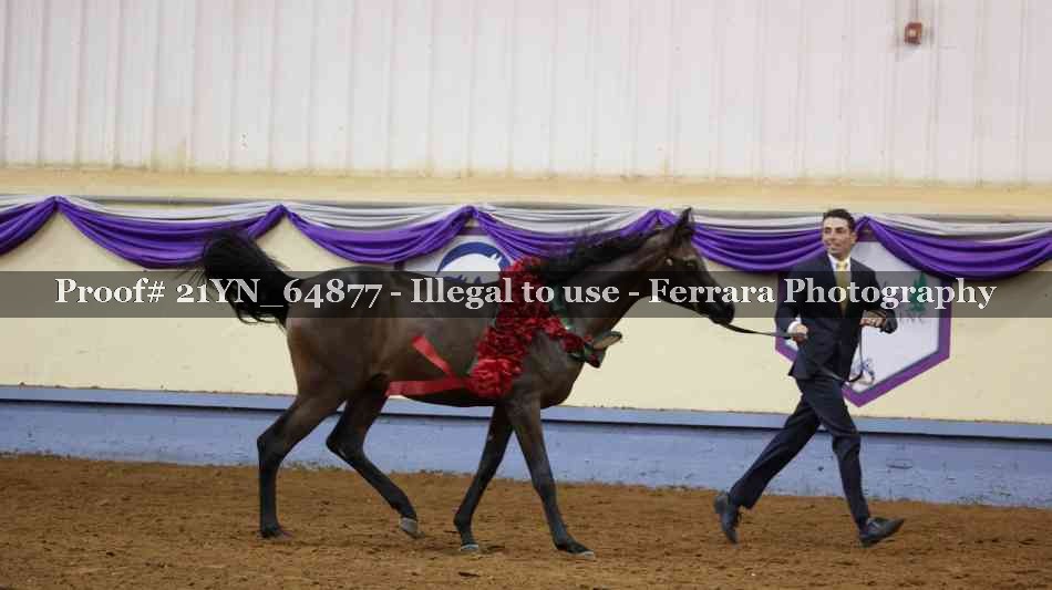Proof 21YN_64877