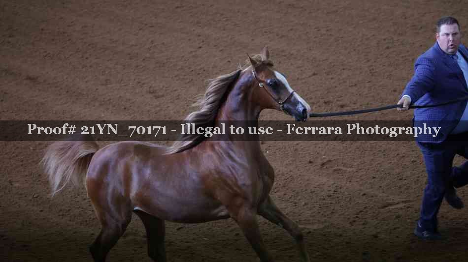 Proof 21YN_70171
