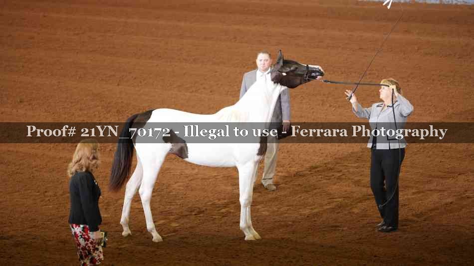 Proof 21YN_70172
