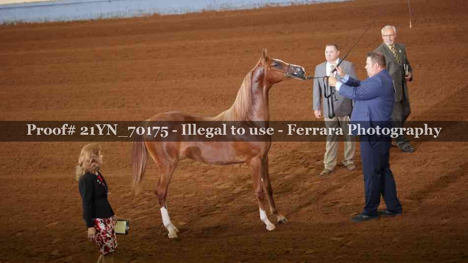 Proof 21YN_70175