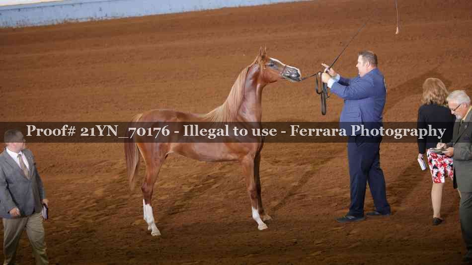 Proof 21YN_70176