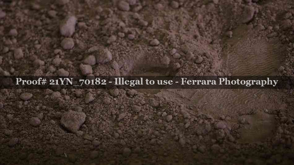 Proof 21YN_70182
