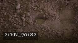 21YN_70182 proof