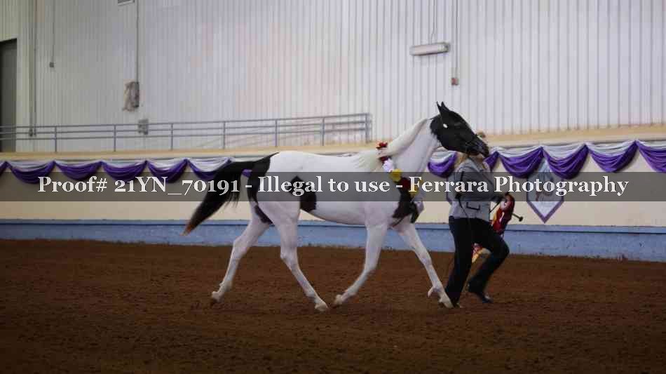 Proof 21YN_70191