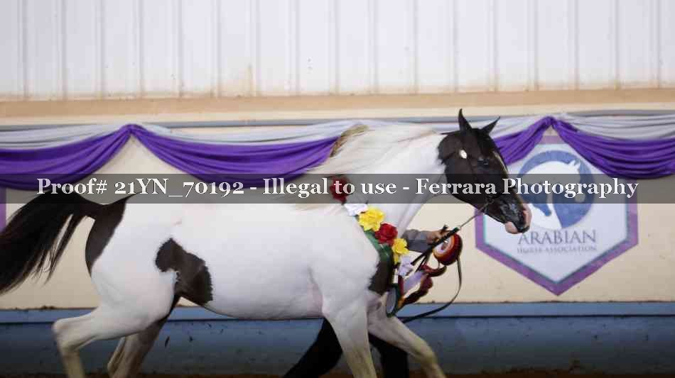 Proof 21YN_70192