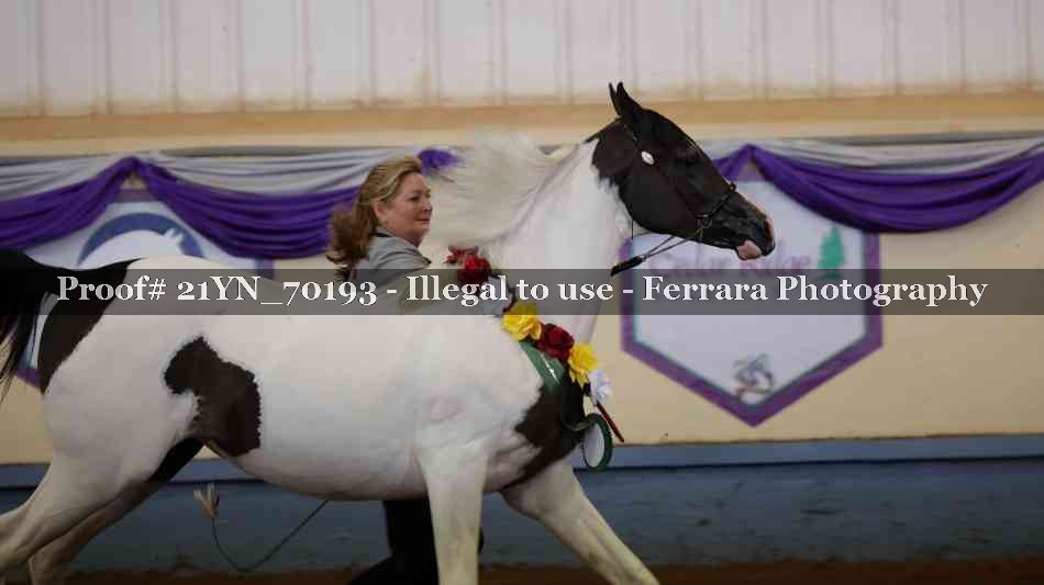Proof 21YN_70193