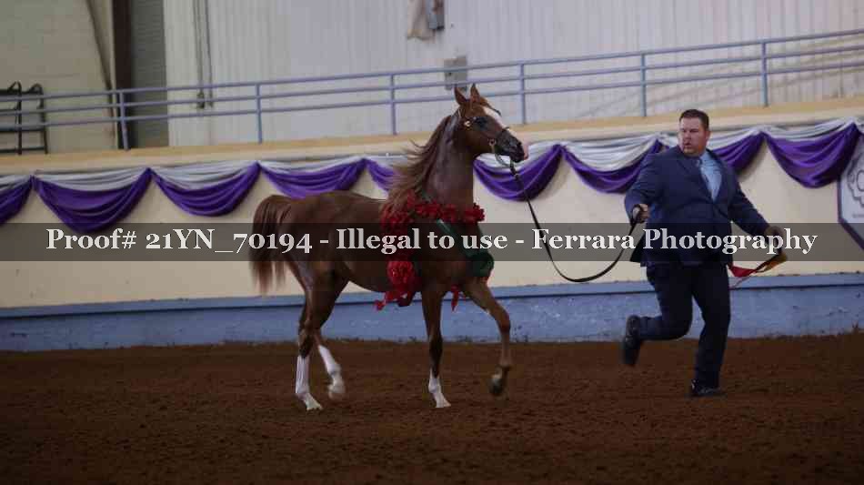Proof 21YN_70194