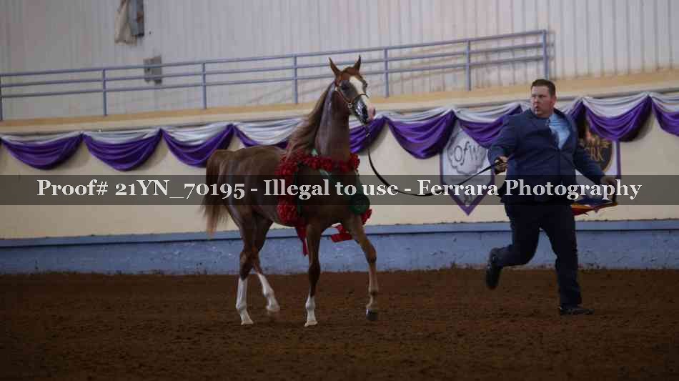 Proof 21YN_70195