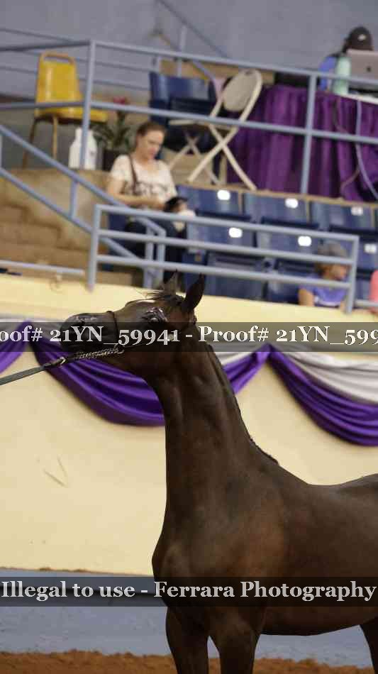 Proof 21YN_59941