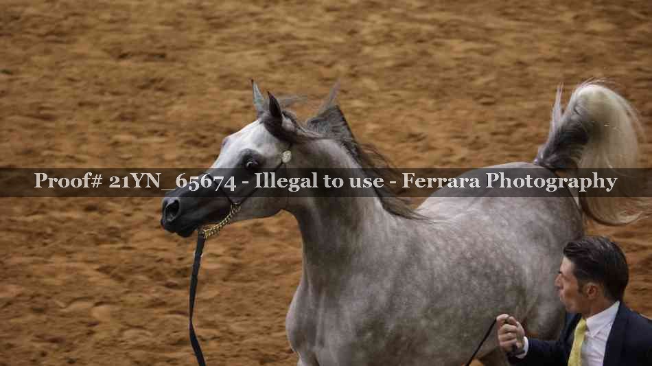 Proof 21YN_65674