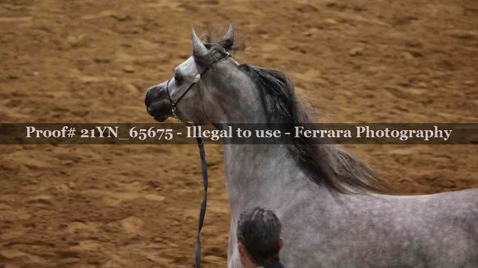 Proof 21YN_65675
