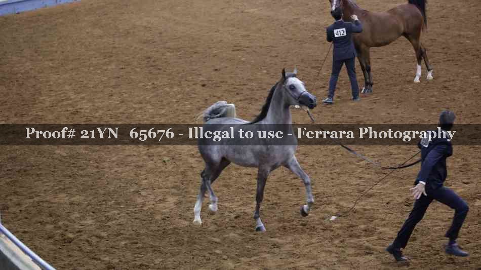 Proof 21YN_65676