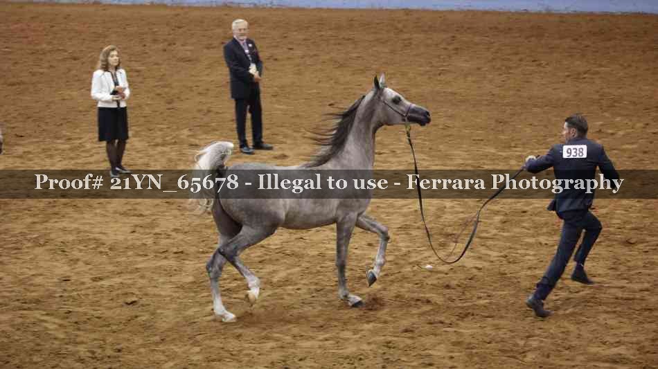 Proof 21YN_65678