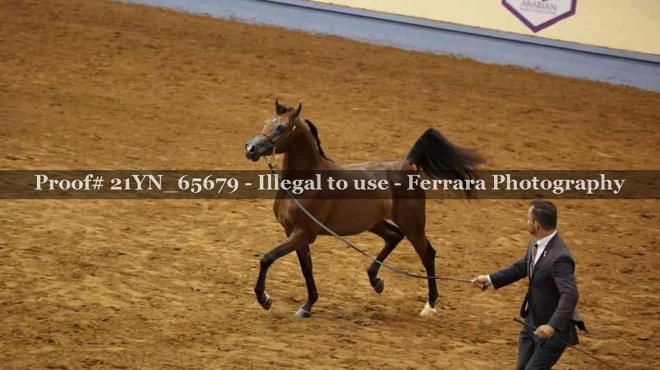 Proof 21YN_65679