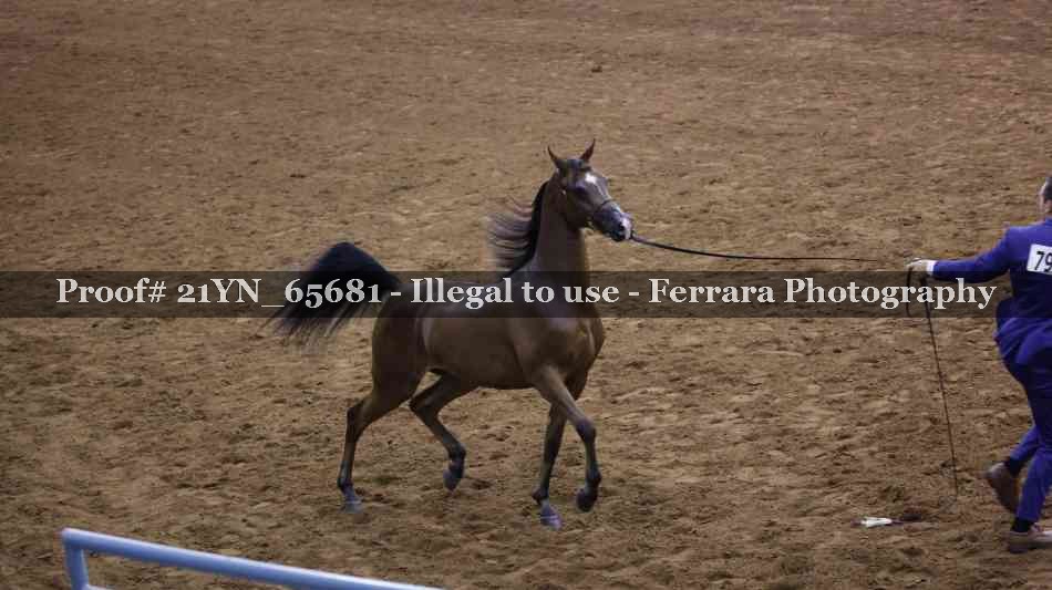 Proof 21YN_65681