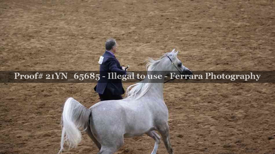 Proof 21YN_65685