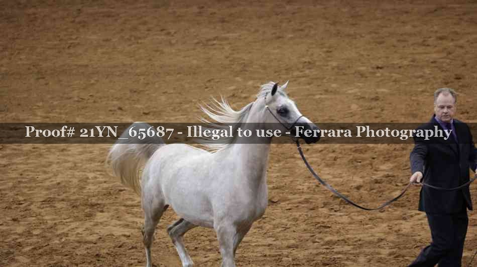 Proof 21YN_65687