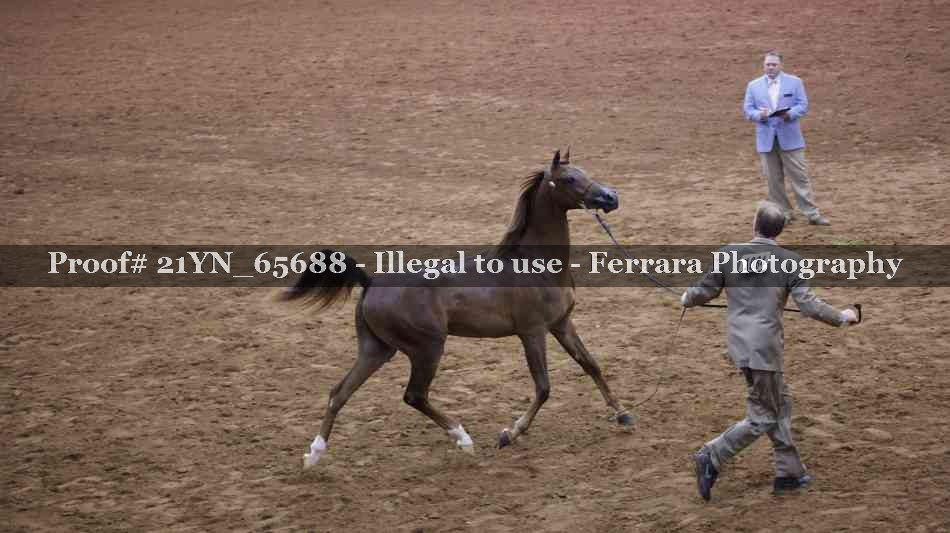 Proof 21YN_65688
