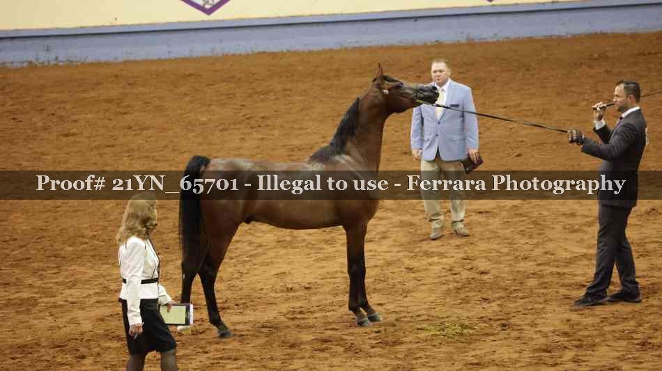 Proof 21YN_65701