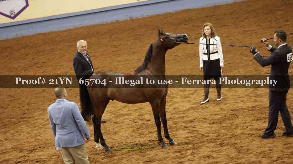 Proof 21YN_65704