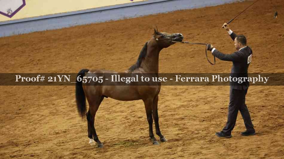 Proof 21YN_65705