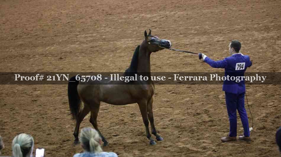 Proof 21YN_65708