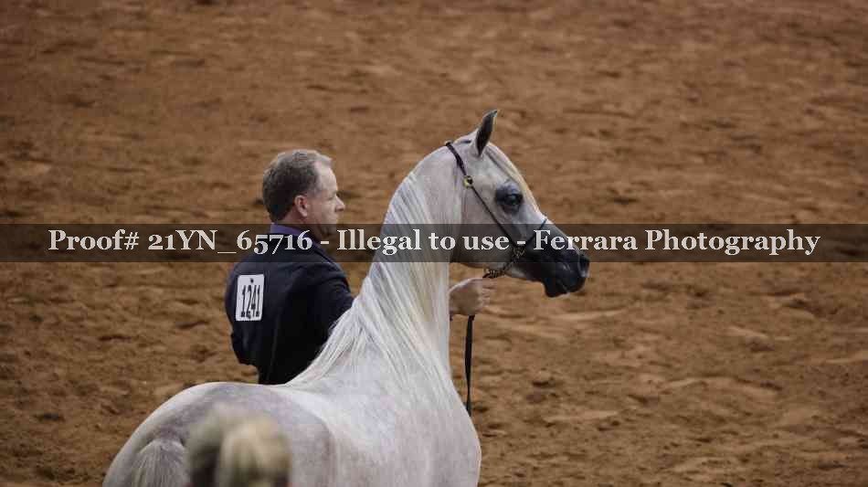 Proof 21YN_65716