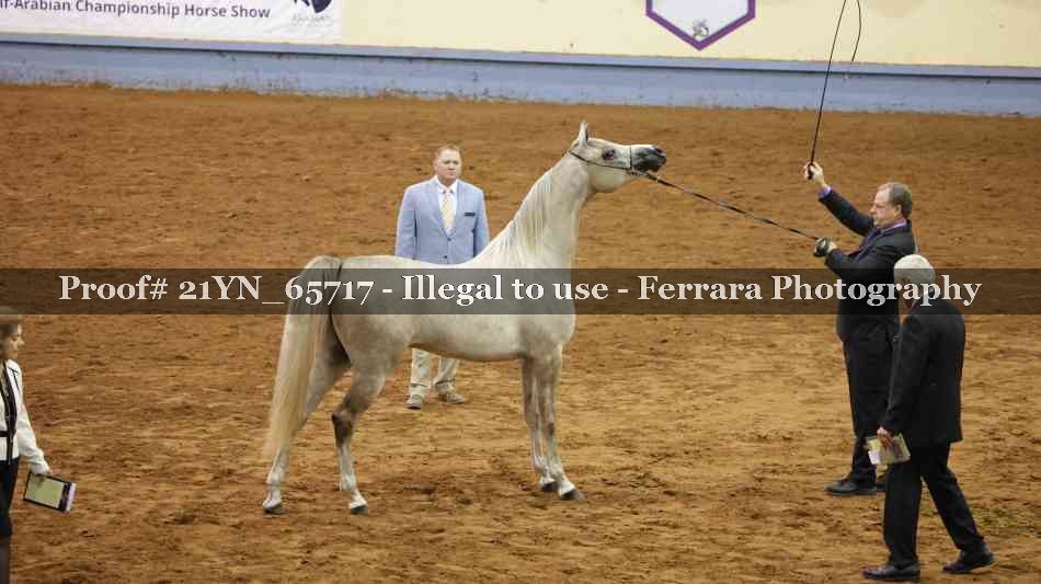 Proof 21YN_65717