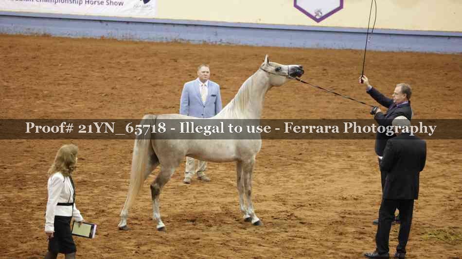 Proof 21YN_65718
