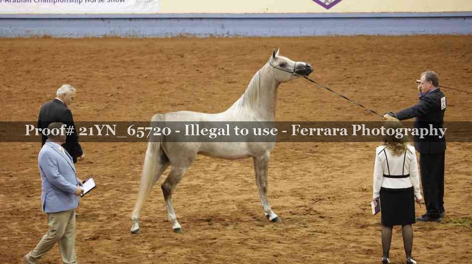 Proof 21YN_65720