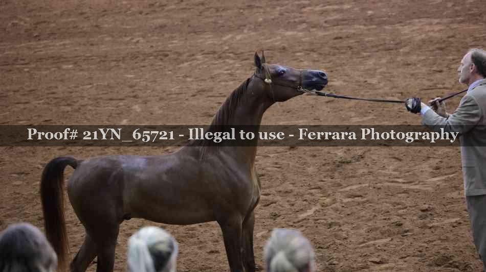 Proof 21YN_65721