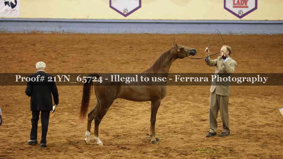 Proof 21YN_65724