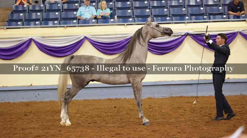 Proof 21YN_65738