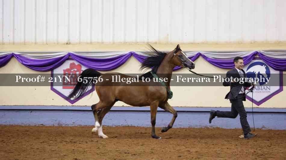 Proof 21YN_65756