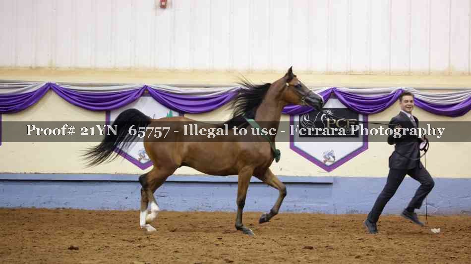 Proof 21YN_65757