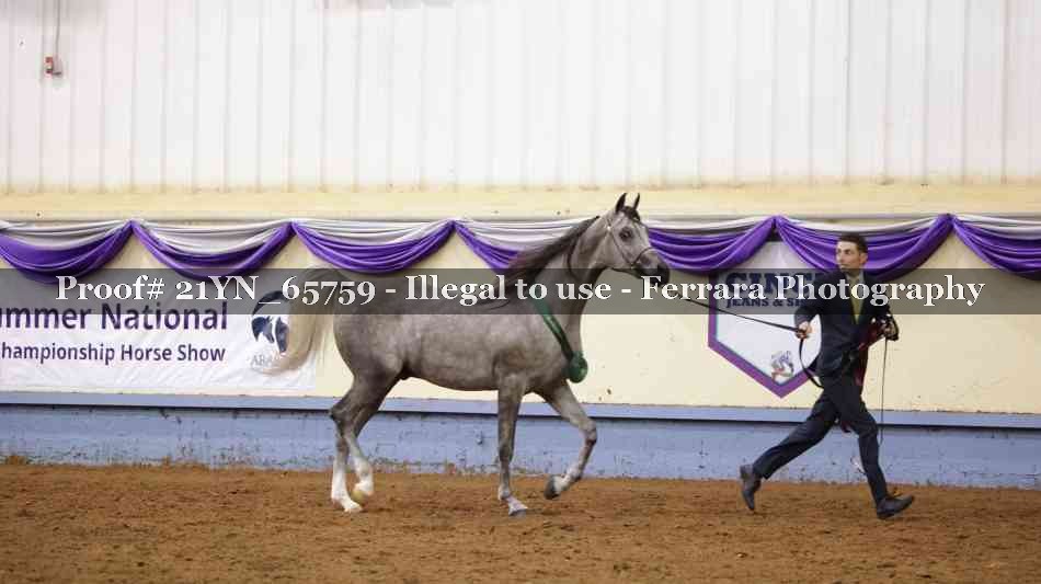 Proof 21YN_65759