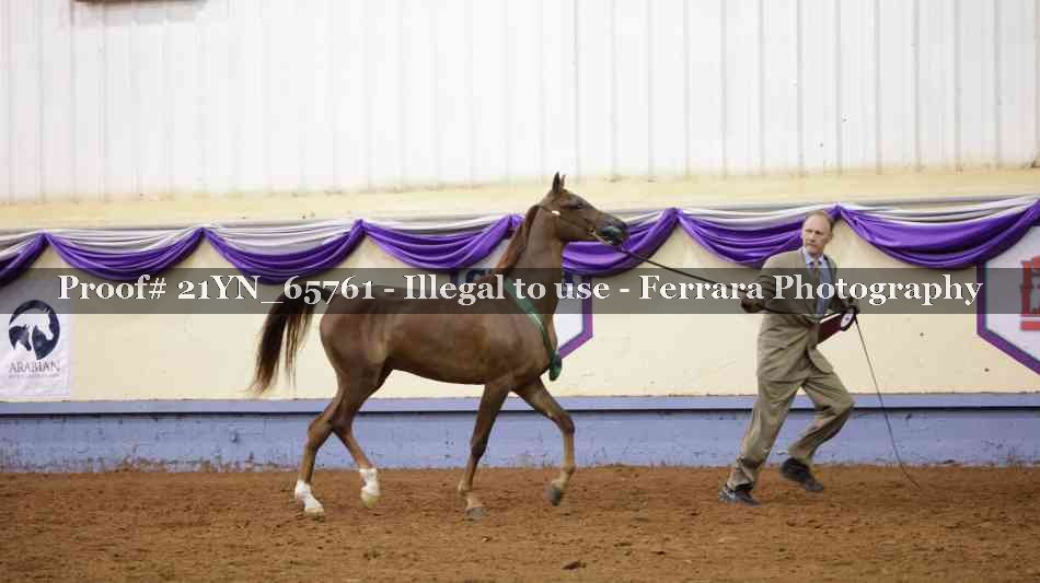Proof 21YN_65761