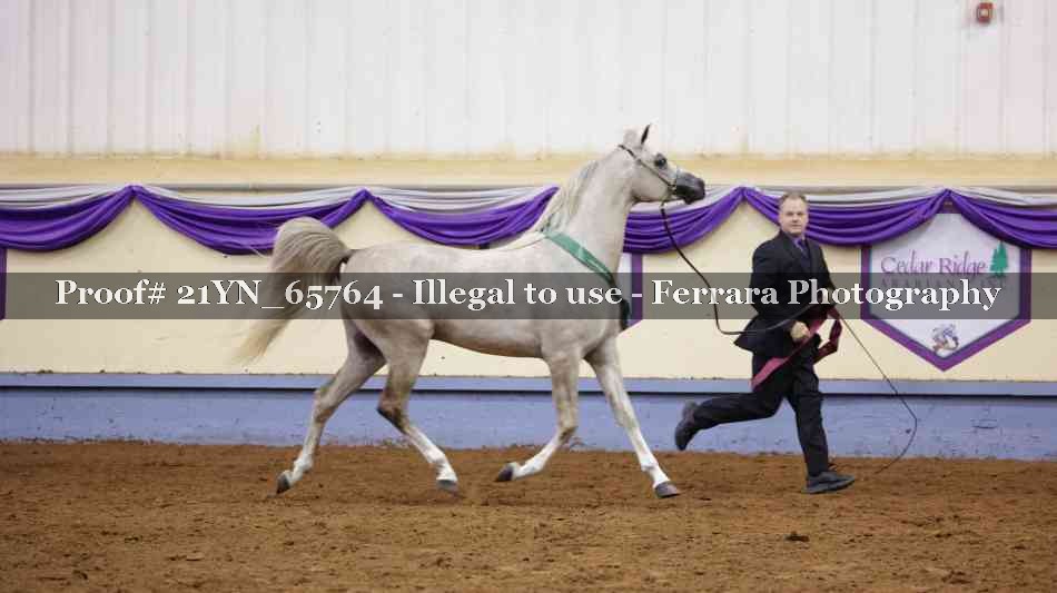 Proof 21YN_65764