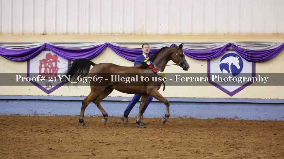 Proof 21YN_65767
