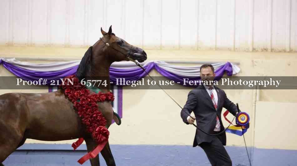 Proof 21YN_65774