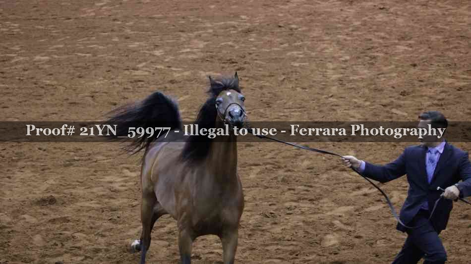 Proof 21YN_59977