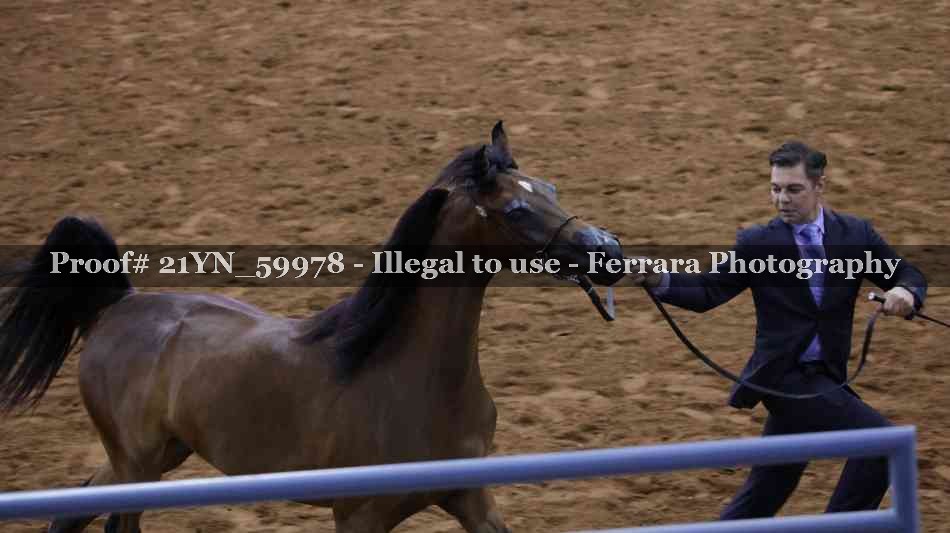 Proof 21YN_59978